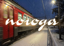 От дождя до мороза дорога в один день: какая погода накроет Воронеж? 