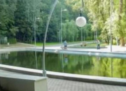 3-летний ребенок чуть не утонул на озере в парке "Динамо" в Воронеже