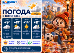 Бабье лето на носу: прогноз погоды в Воронеже
