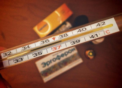 Среди всех городов России больше всего гриппом болеют в Воронеже