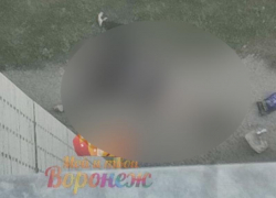 СК прокомментировал труп под окнами многоэтажки в Воренже 