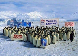 Пингвины из Единой России требуют вернуть Аляску