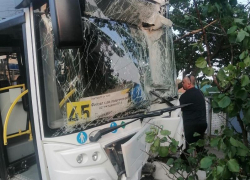 Появились кадры с места, где автобус влетел в остановку на улице 45-й Стрелковой Дивизии в Воронеже