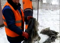 Извлечение 10 кг пленки из канализации в Воронеже попало на видео