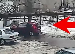 Следователи и прокуроры проверят ЧП с падением дерева на женщину у лицея №6 в Воронеже