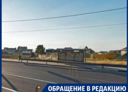 Изолированную от людей остановку сняли в Воронеже