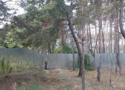 Очередное строительство в Воронеже возмутило правозащитников и местных жителей