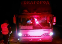Воронежская полиция обнаружила заглохший автобус с 20 пассажирами на ночной зимней трассе 