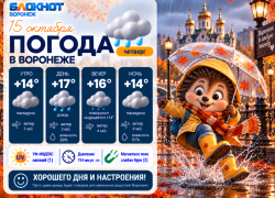 «Смываемся!»: прогноз погоды в Воронеже