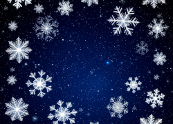 Как в новогодние праздники изменит график работы Воронежский зоопарк