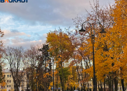  Чем удивит воронежцев короткая рабочая неделя