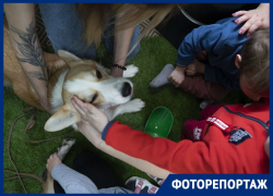 Канистерапия: что это такое и как она помогает особенным детям в Воронеже