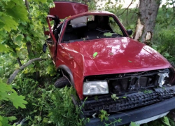 Три ребенка пострадали в ДТП с иномаркой в Воронежской области