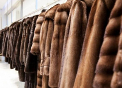 Воронежских таможенников отправили в СИЗО из-за мехового вымогательства