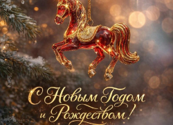 Дорогие воронежцы!