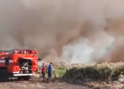 Сжигание мусора на поле превратилось в мощный пожар под Воронежем 