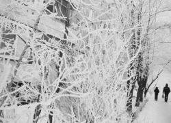 Как долго сибирский антициклон будет морозить Воронеж, рассказал главный метеоролог региона 