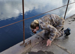Запрещенный препарат ДДТ нашли в водоемах Воронежского заповедника