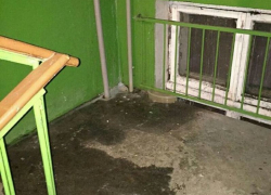 Субботнее потепление может смыть подъезд воронежской многоэтажки в центре города