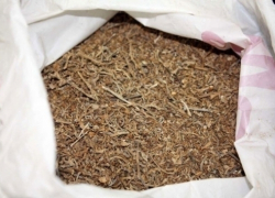 В Северном микрорайоне у воронежца нашли марихуану