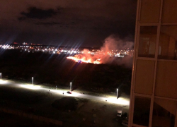 Человеческая беспечность привела к крупному пожару под Воронежем