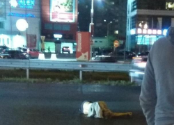 Опубликовано фото сбитого на Московском проспекте пешехода