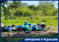  Воронежцев пристыдили грязным состоянием яблоневого сада, за который просят перед Путиным 