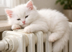 Тепло и горячую воду отключили в Воронеже из-за аварии 