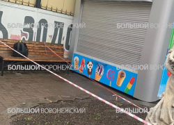 Выяснилось содержание странной находки в Воронеже