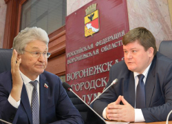 Строительный клан раскололся в выборе председателя гордумы Воронежа