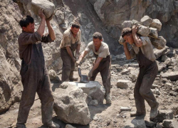 Печалит или радует: воронежцы рассказали, как относятся к скорому возвращению на работу 