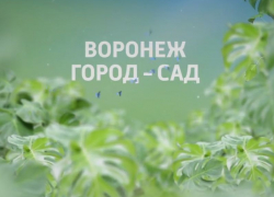ГТРК «Воронеж» представила  фильм о международной выставке-ярмарке «Воронеж - Сад»