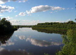 Тело утонувшего на глазах друзей воронежца достали из реки