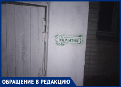«Когда закончится этот беспредел?» Подвальную трясину с комарами показали в Воронеже 