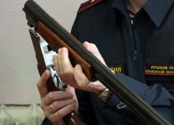 За неделю в Воронежской области силовики изъяли 17 единиц оружия