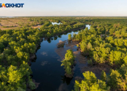 Больше 20 земельных участков вернули в собственность государства в Воронежской области