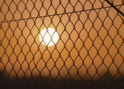 Житель Воронежской области ударил жену ножом из-за ревности