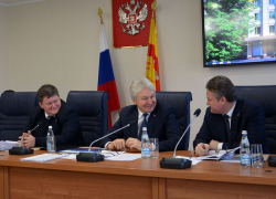 Дума запретила 5 вещей депутатам Воронежа