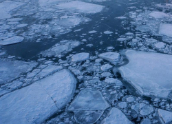 В Воронежской области объявлено штормовое предупреждение из-за рекордных холодов