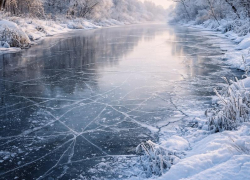 Девятилетний ребенок погиб, провалившись под лед в Воронежской области 