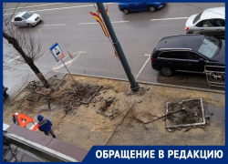 Мэрия Воронежа объяснила «удаление» части деревьев с проспекта Революции 