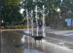 Мокрое майское счастье попало на видео в Воронеже