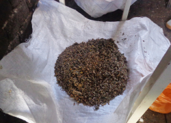 Воронежская наркополиция «прикрыла» популярный дом для наркоманов 