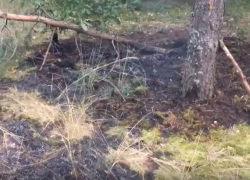 Воронежские пожарные предложили девушке самой окопать зону возгорания