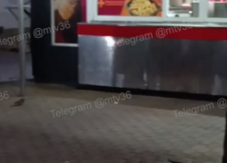 Зимнее нашествие крыс заметили в Воронеже