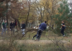 В рамках акции «Чистый лес» в Воронежской области уберут валежник и мусор
