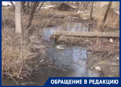 «Хоть свечу в церковь ставь»: воронежец на берегу фекального пруда окончательно отчаялся 