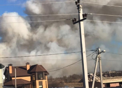 Под Воронежем полыхает 800 кв метров сухой травы