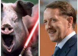 Федеральное издание назвало Алексея Гордеева «латифундистом», развязавшим «свиную войну»