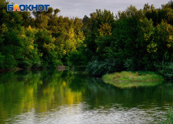 Труп мужчины подняли со дна пруда в Воронежской области